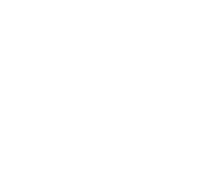 Bloomify